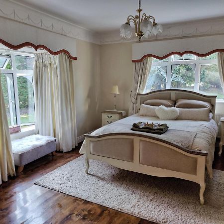 Rooms At Ballysax House The Curragh Zewnętrze zdjęcie