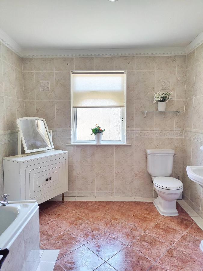 Rooms At Ballysax House The Curragh Zewnętrze zdjęcie