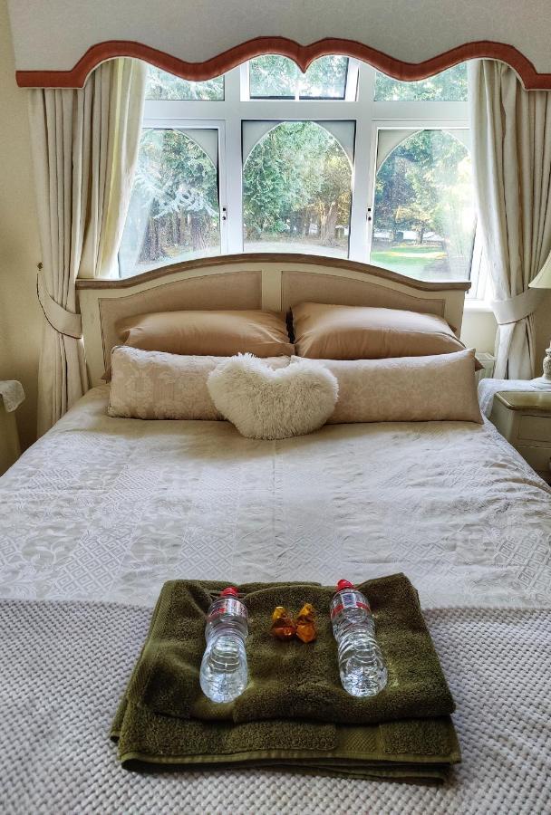 Rooms At Ballysax House The Curragh Zewnętrze zdjęcie
