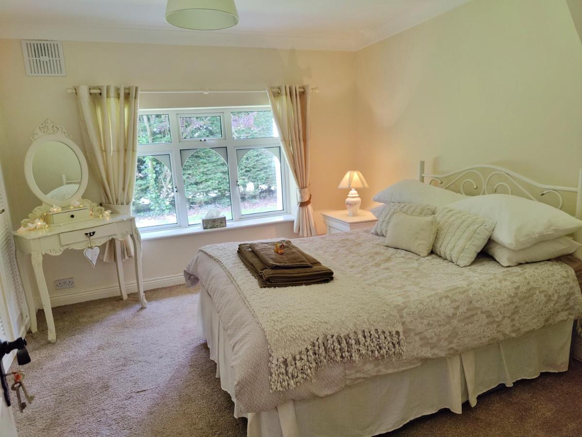 Rooms At Ballysax House The Curragh Zewnętrze zdjęcie